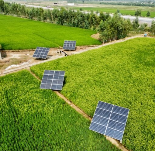renewable energy
